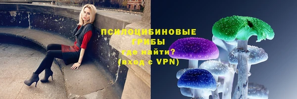 MDMA Premium VHQ Каменногорск