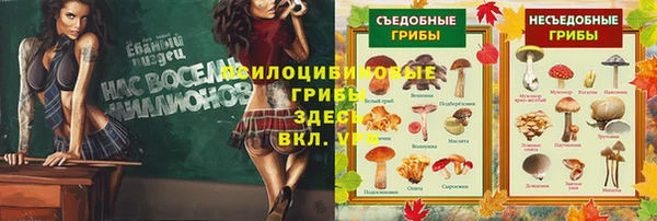 jwh Кукмор